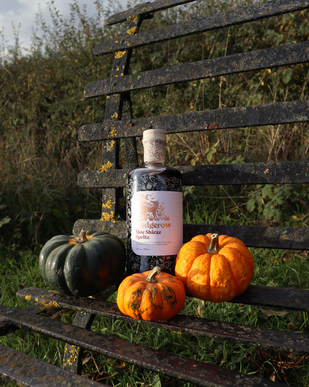 Happy Hedgerow Halloween