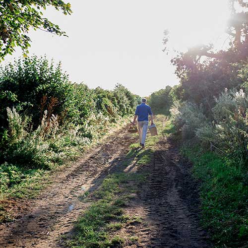 Walking Joff near - Sloemotion Distillery