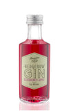 Hedgerow Blackberry & Apple Dry Gin