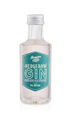 Hedgerow Rhubarb & Raspberry Dry Gin