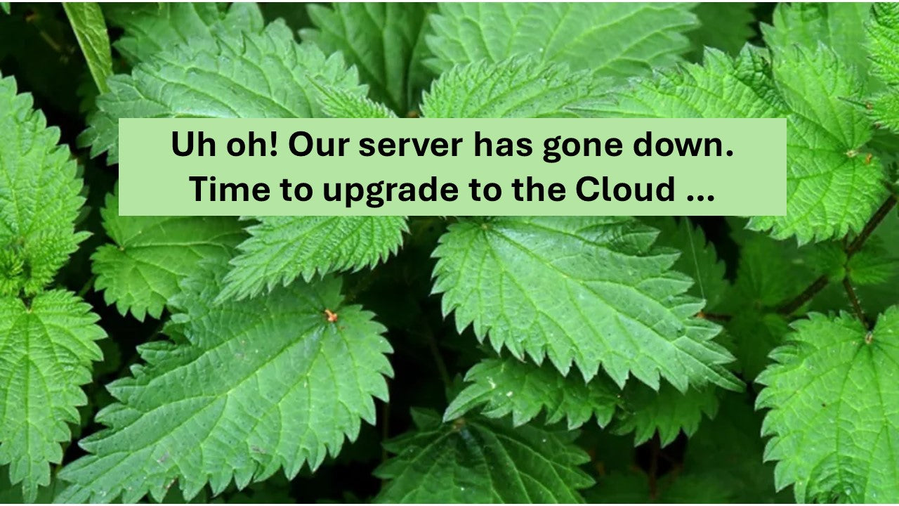 Uh oh! Our server has gone down ...