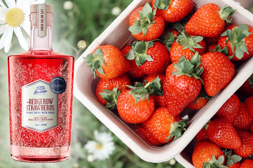 Strawberries and a Cocktail – Sloemotion Distillery