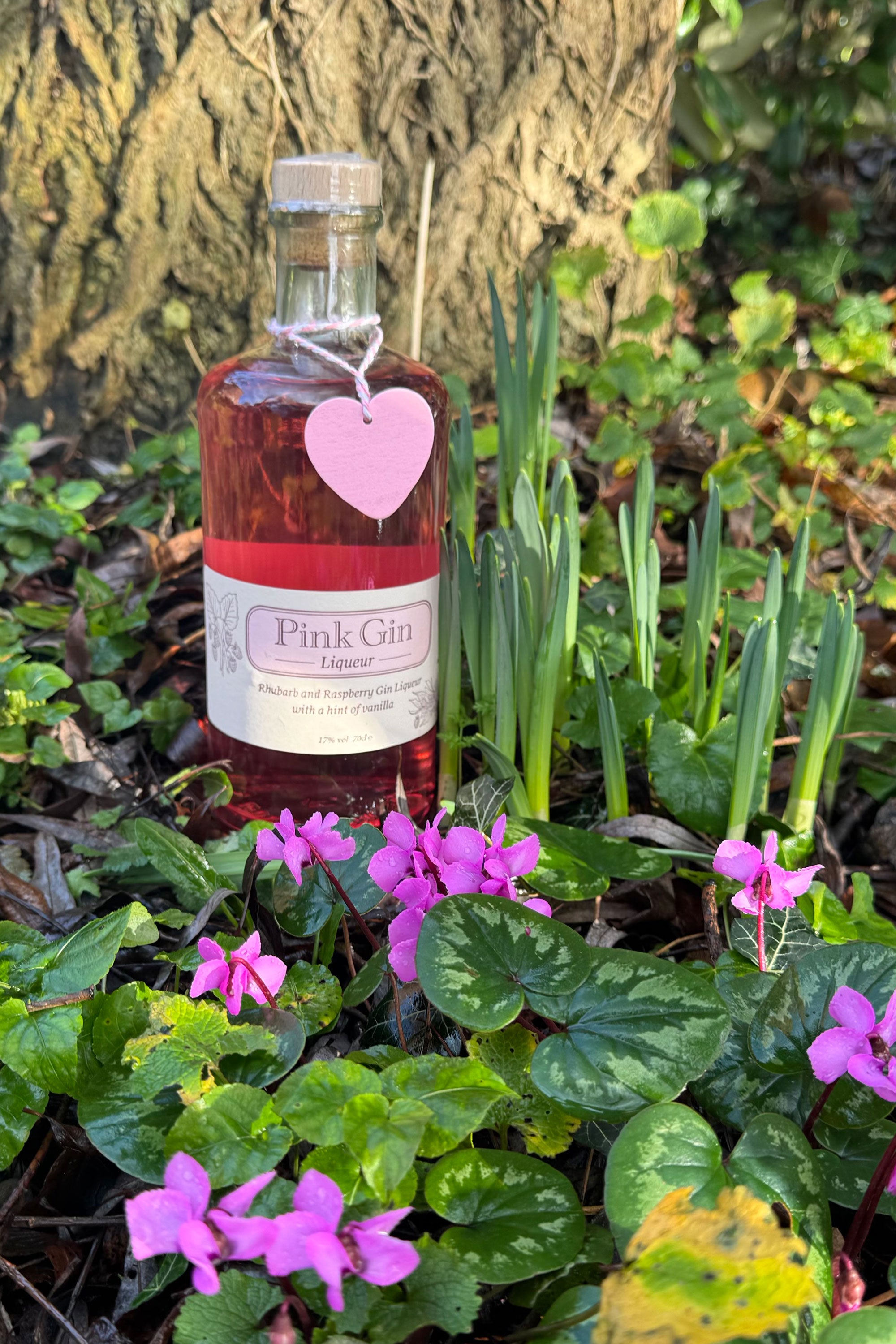 Pink Gin Liqueur