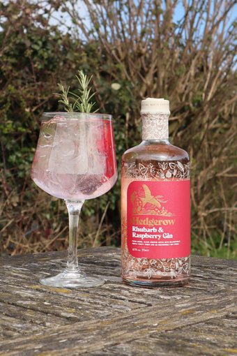 Hedgerow Rhubarb & Raspberry Dry Gin
