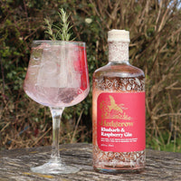 Hedgerow Rhubarb & Raspberry Dry Gin