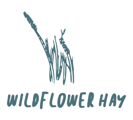 Wildflower - Sloemotion Distillery