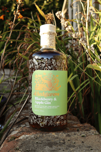 Hedgerow Blackberry & Apple Dry Gin