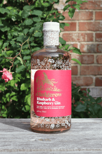 Hedgerow Rhubarb & Raspberry Dry Gin
