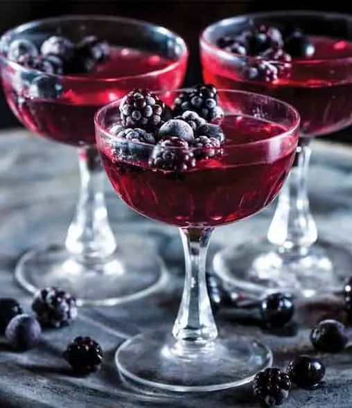 Sloe Gin JELLY SHOTS RECIPE - Sloemotion Distillery