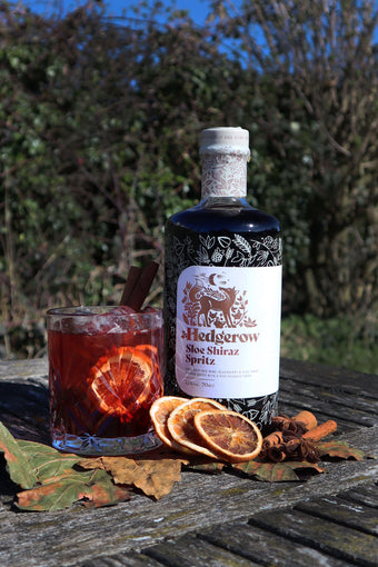 Sloe Shiraz Spritz