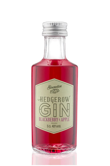 Hedgerow Blackberry & Apple Dry Gin